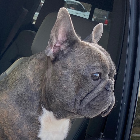 Meet your Posher, Andrea - Picture 1 of 1